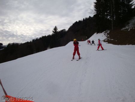 DSC07311