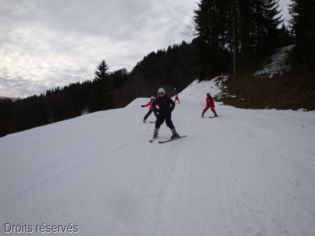 DSC07313