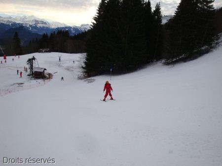 DSC07321