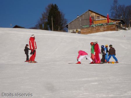 DSC07539