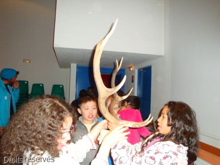 DSC07623
