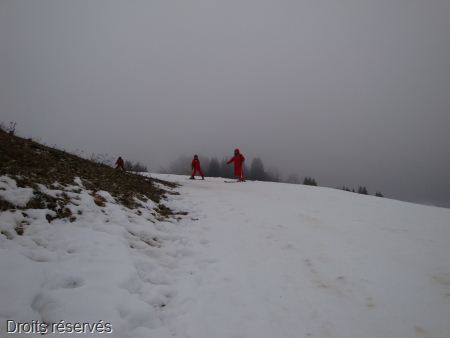DSC07645
