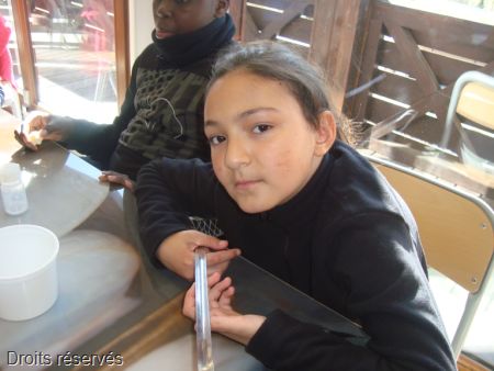 DSC05430