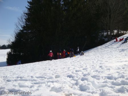 DSC09501
