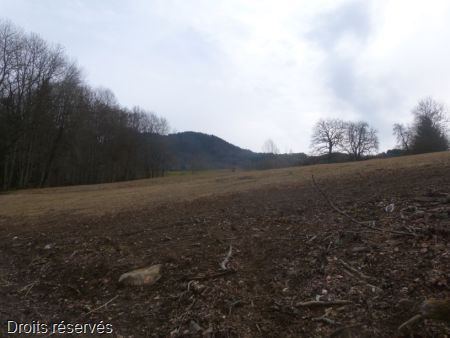 P1090305