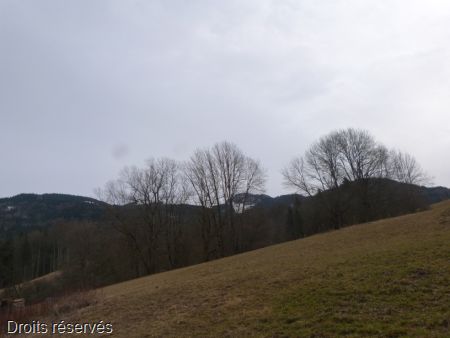 P1090321