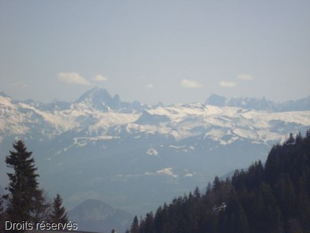 DSC06024