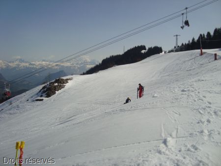 DSC06043