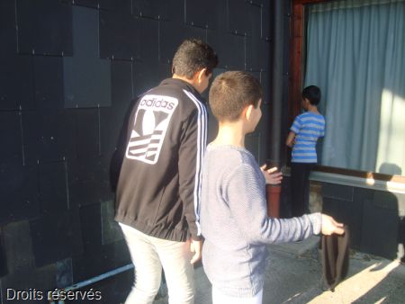 DSC06329