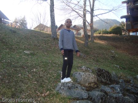 DSC06354