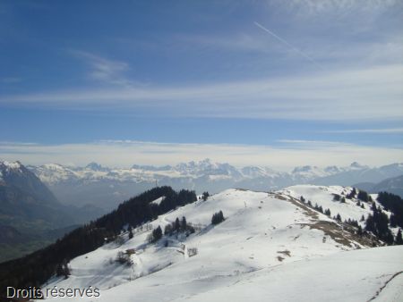 DSC06164