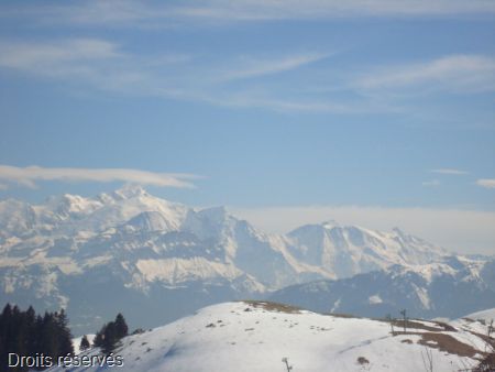 DSC06238