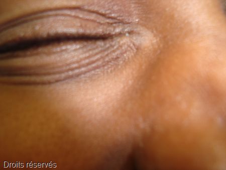 DSC06625
