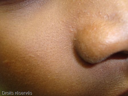 DSC06626