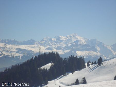 DSC06673