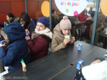 DSC04531
