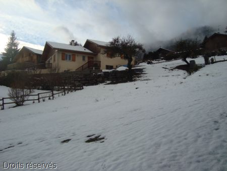DSC04699