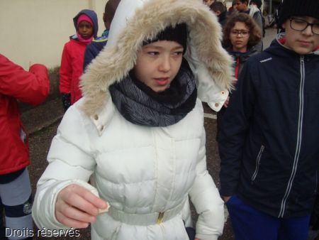 DSC05153