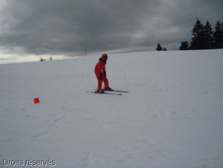 DSC05225