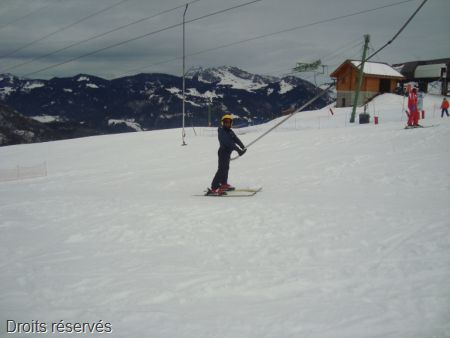 DSC05241