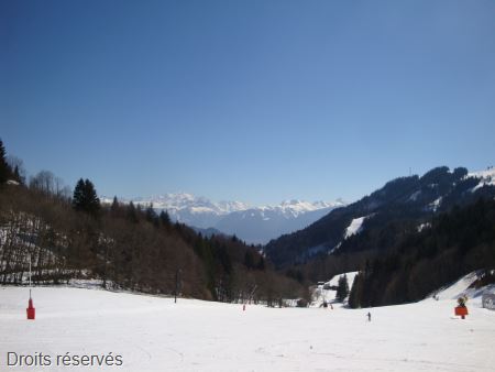 DSC00752