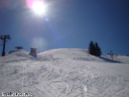 DSC00843