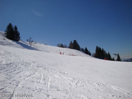 DSC00844
