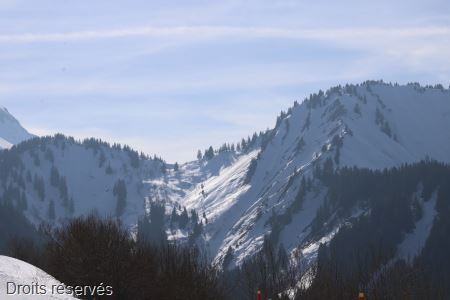 IMG_1879