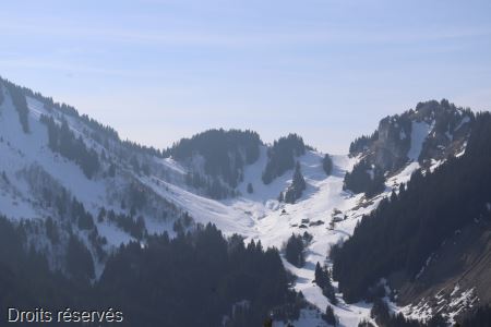IMG_1880