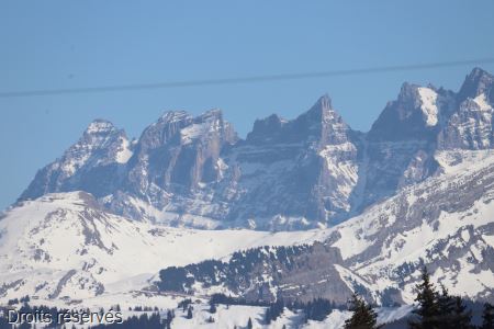 IMG_1900