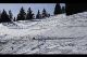 IMG_2435