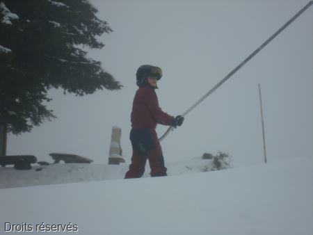 DSC00558