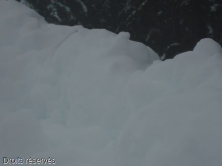 DSC00567