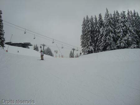 DSC00827