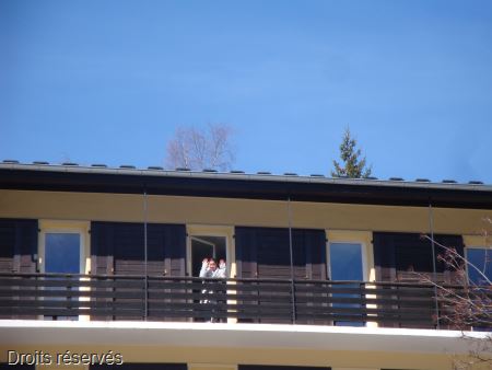 DSC03933