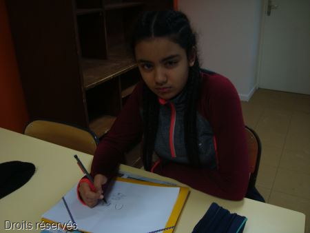 DSC00229
