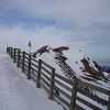 Classe de neige 43