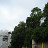Sortie � Provins 49