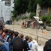 Sortie � Provins 71