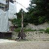 Sortie � Provins 89