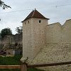 Sortie � Provins 229