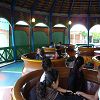 La sortie au parc Ast�rix 16