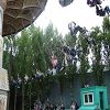 La sortie au parc Ast�rix 26