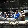 La sortie au parc Ast�rix 57