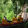 La sortie au parc Ast�rix 82