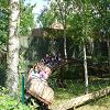 La sortie au parc Ast�rix 99