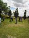 Golf1_008