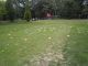 Golf1_015