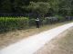 Golf1_055