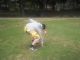 Golf2_004